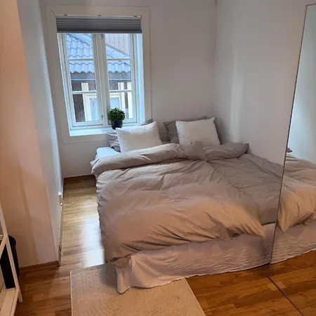 Apartment Stilfull Og Urban I Sentrum M Gratis Parkering *